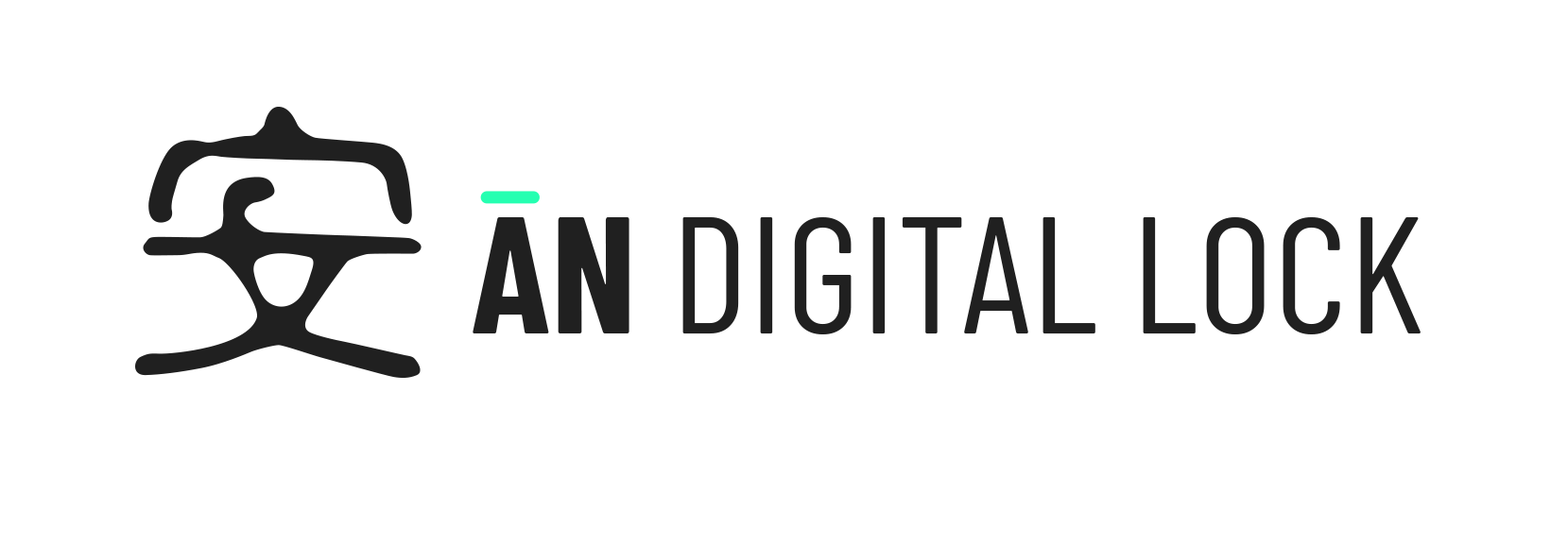 AN Digital Lock
